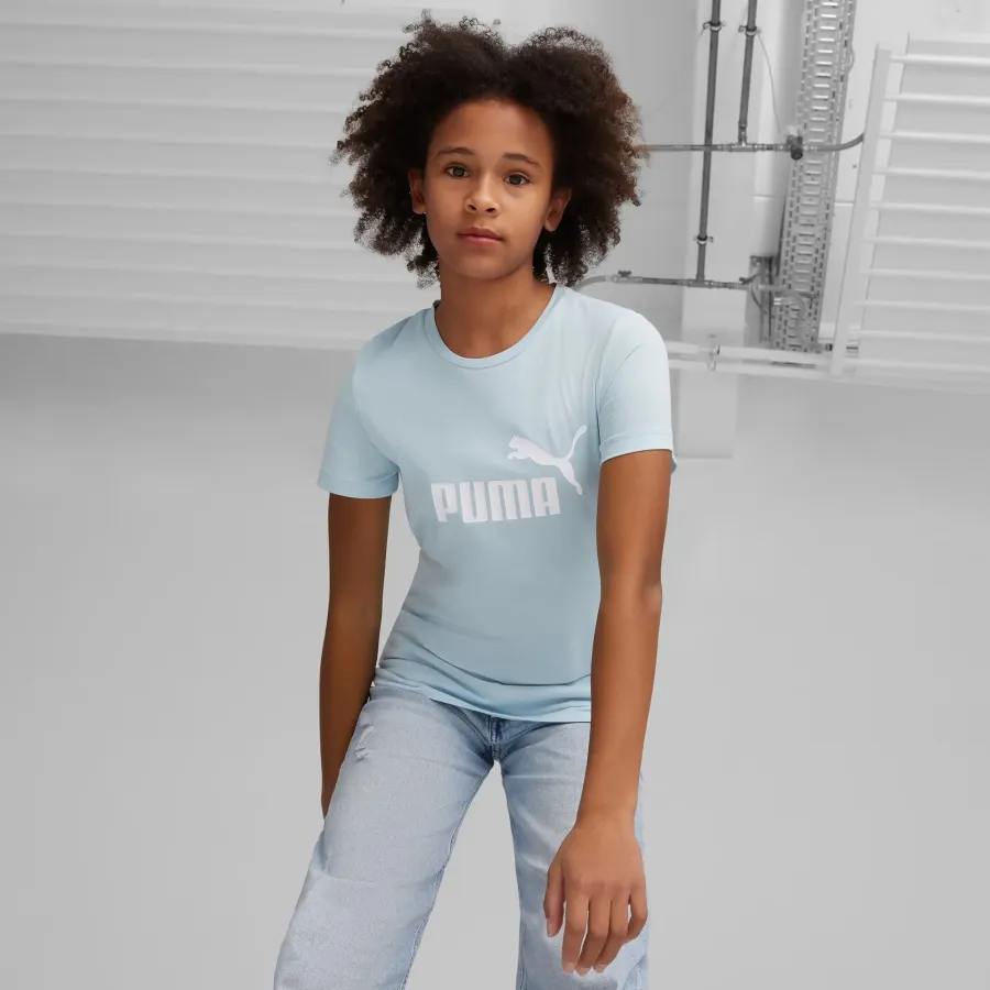 Футболка Puma Essentials Logo Tee 587029-23