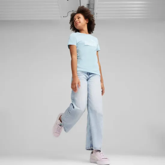 Футболка Puma Essentials Logo Tee 587029-23