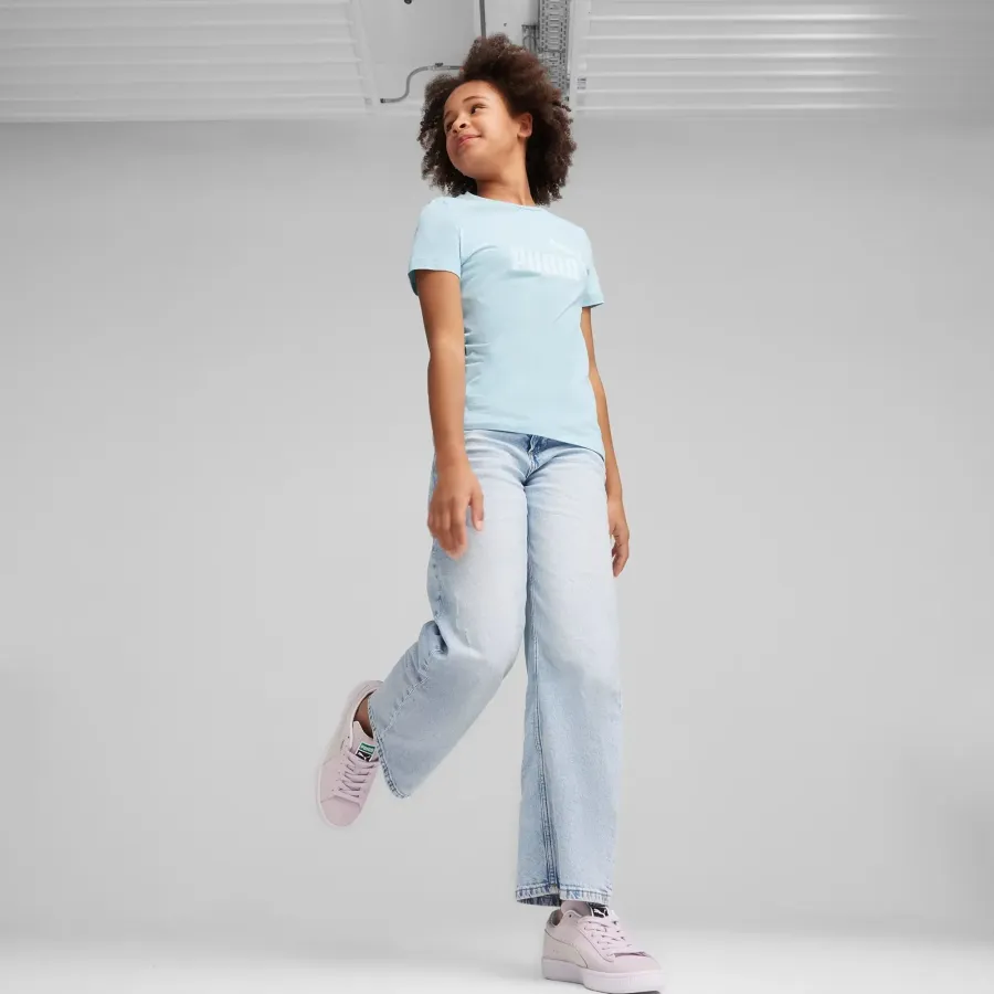 Футболка Puma Essentials Logo Tee 587029-23