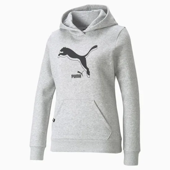 Худі Puma Power Logo 589541-04