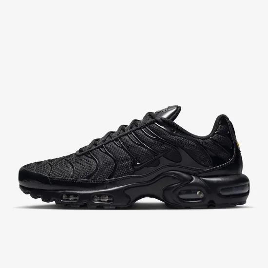 Кросівки Nike Air Max Plus 604133-050