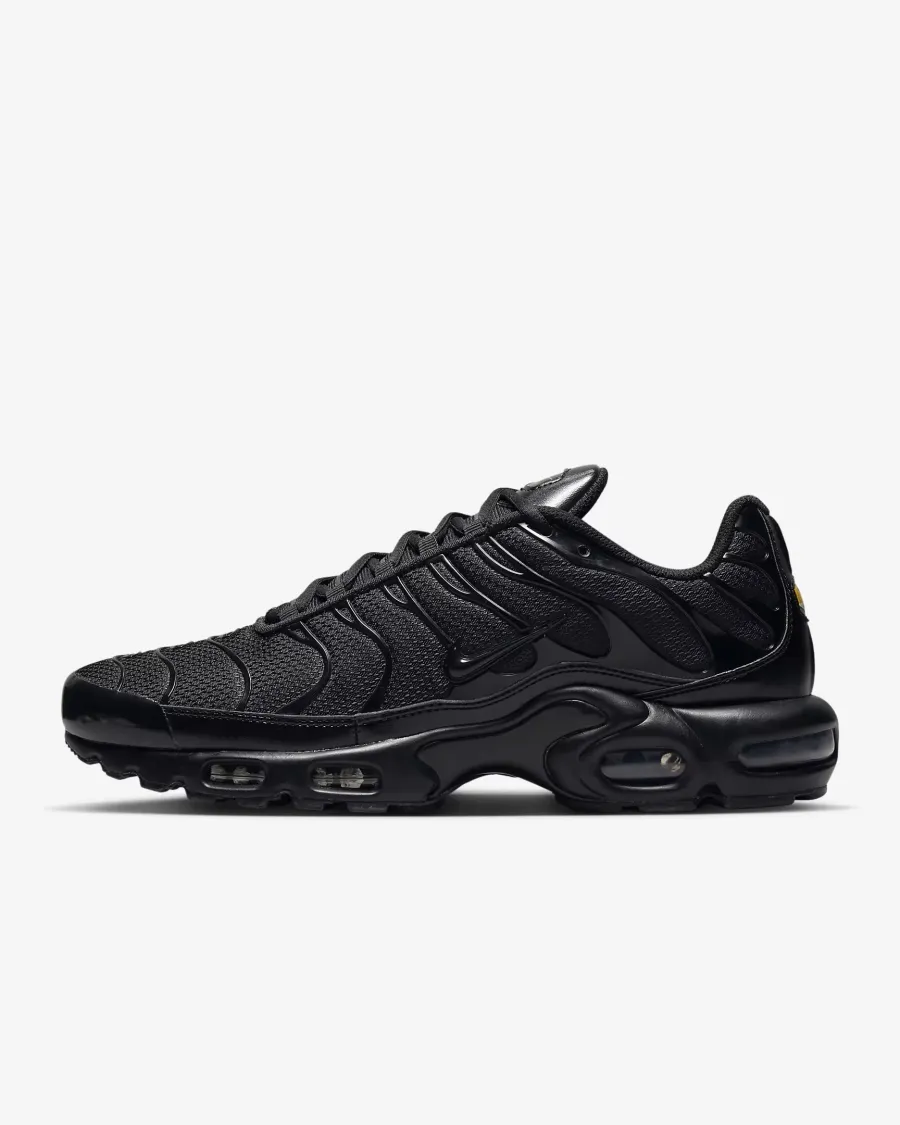 Кросівки Nike Air Max Plus 604133-050