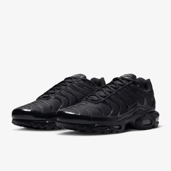 Кросівки Nike Air Max Plus 604133-050