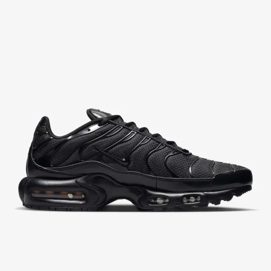 Кросівки Nike Air Max Plus 604133-050