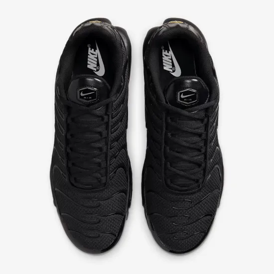 Кросівки Nike Air Max Plus 604133-050