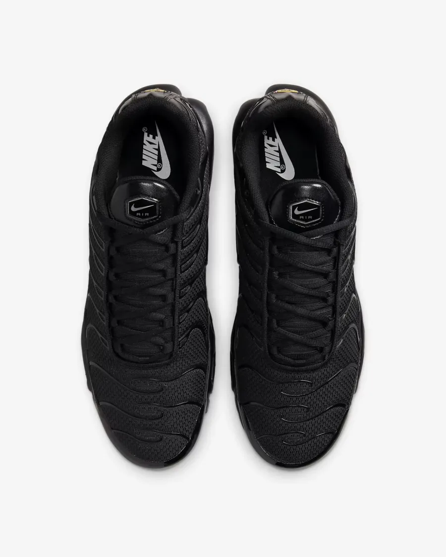 Кросівки Nike Air Max Plus 604133-050