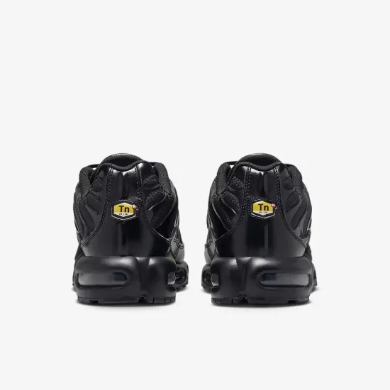 Кросівки Nike Air Max Plus 604133-050