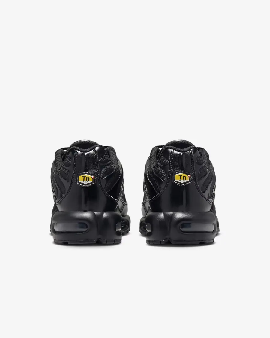 Кросівки Nike Air Max Plus 604133-050