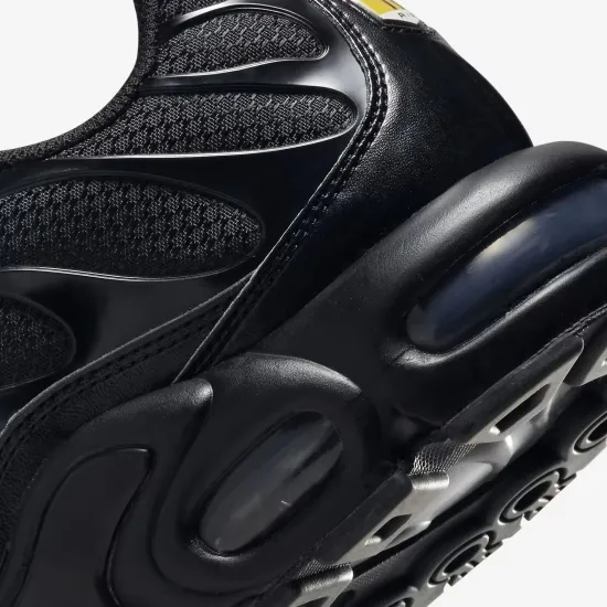 Кросівки Nike Air Max Plus 604133-050