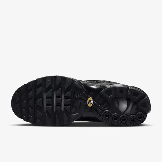 Кросівки Nike Air Max Plus 604133-050