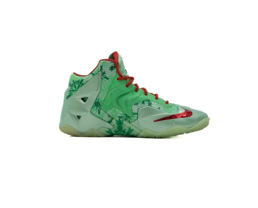 Кросівки Nike LeBron 11 621712-301