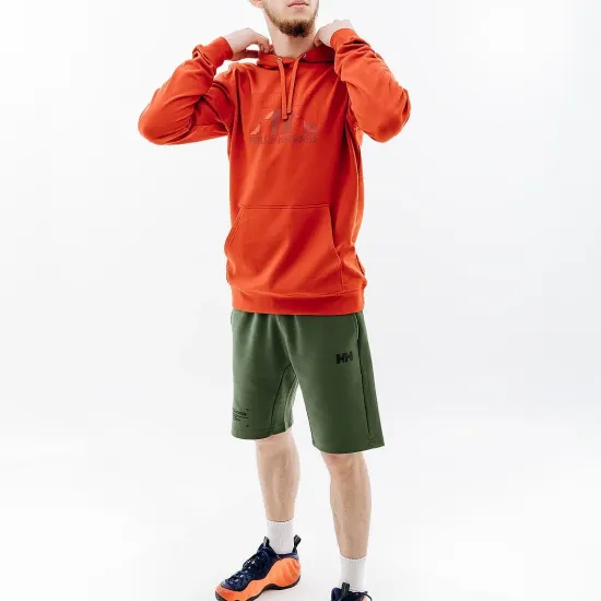 Кофта Helly Hansen Logo 62975-308