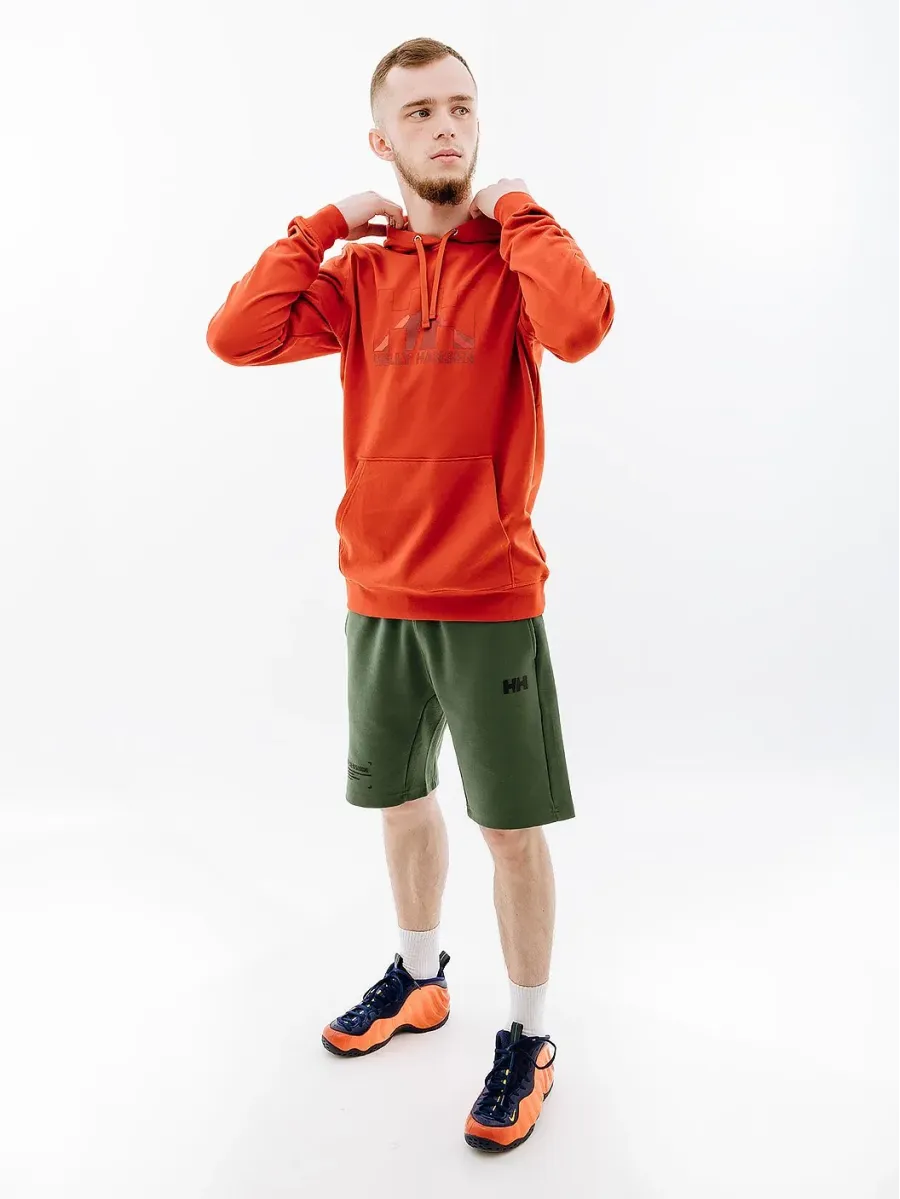 Кофта Helly Hansen Logo 62975-308