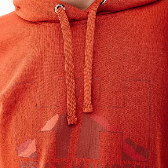Кофта Helly Hansen Logo 62975-308
