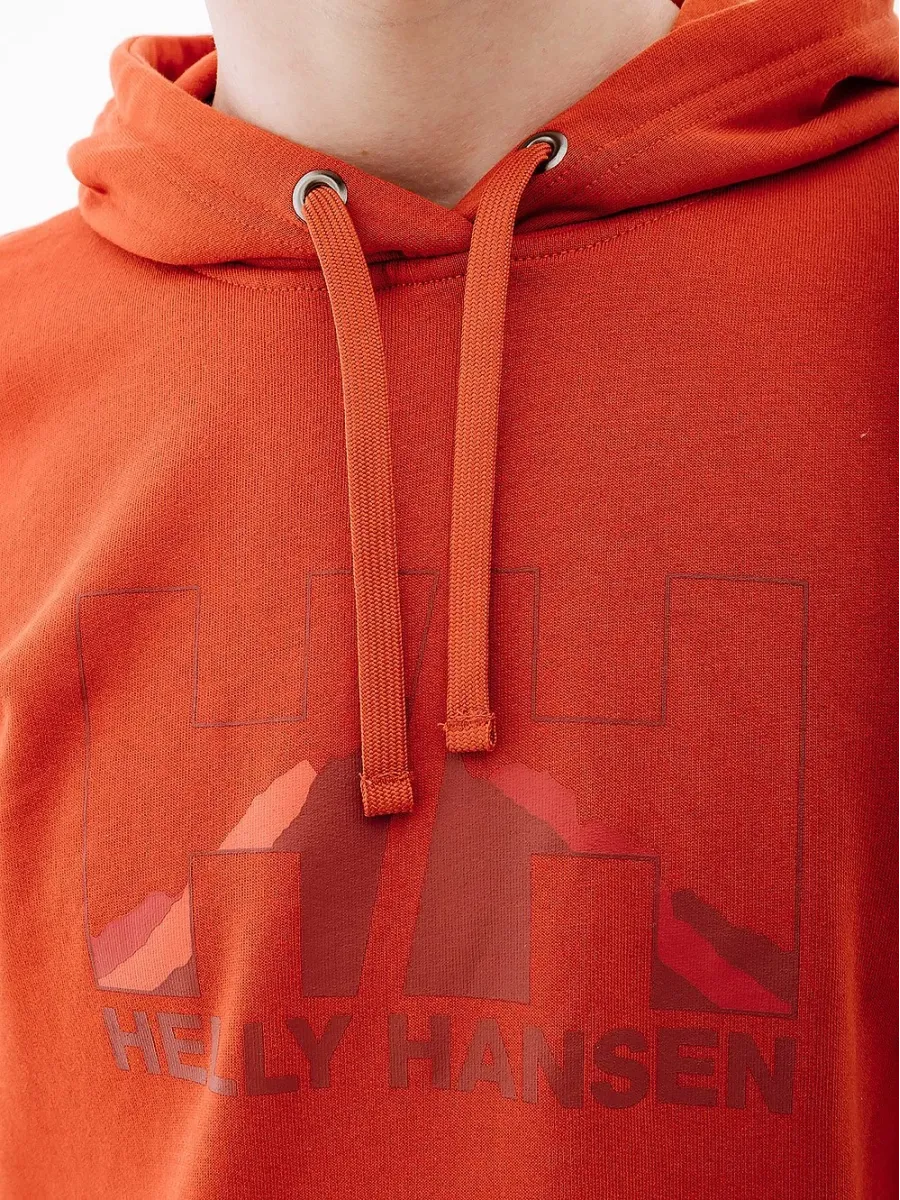 Кофта Helly Hansen Logo 62975-308