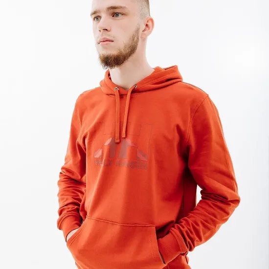 Кофта Helly Hansen Logo 62975-308