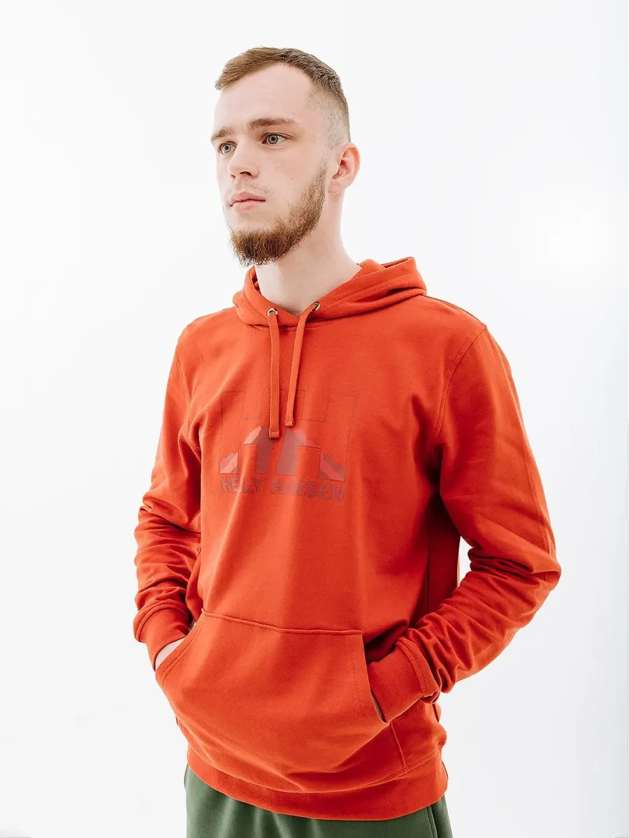 Кофта Helly Hansen Logo 62975-308
