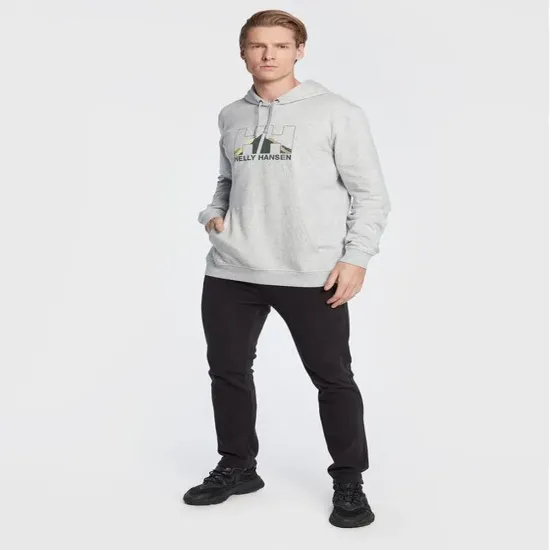 Кофта Helly Hansen Logo 62975-950