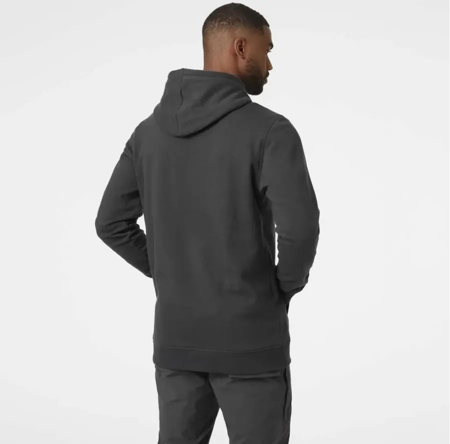 Кофта Helly Hansen Logo 62975-981