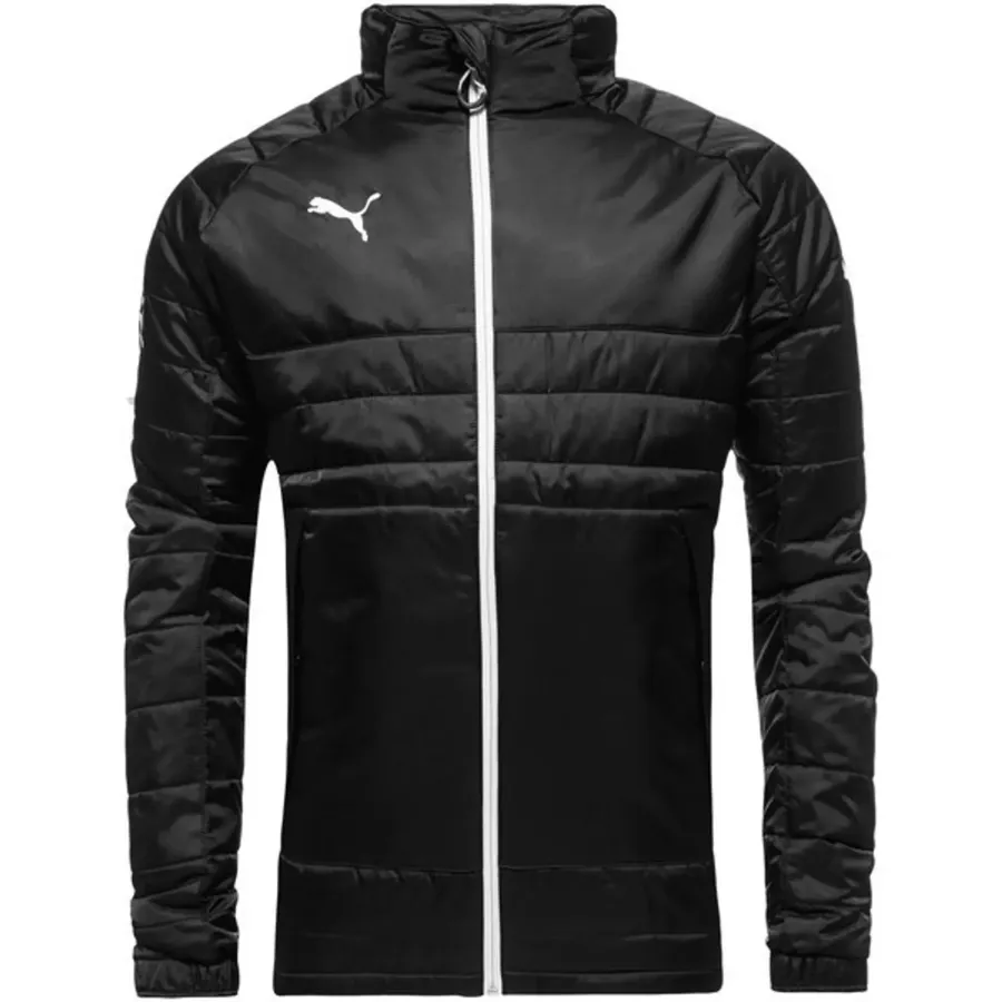 Куртка Puma Esito 3 Stadium 653978-06