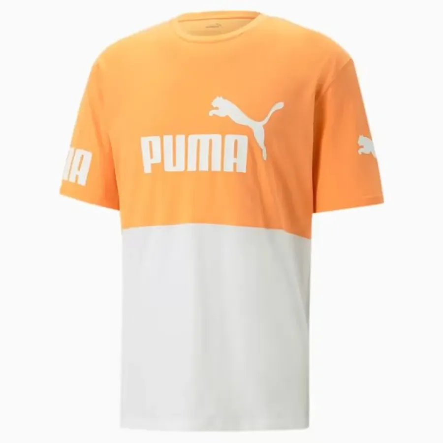 Футболка Puma Power Colorblock 673321-46