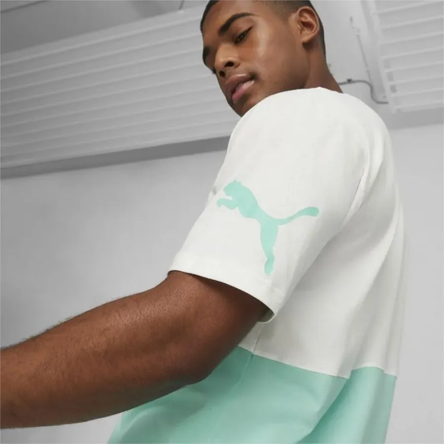 Футболка Puma Power Colorblock 673321-77