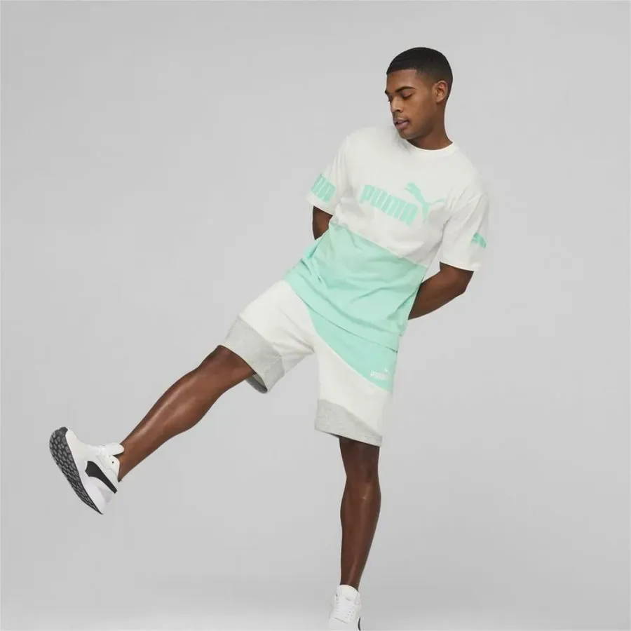 Футболка Puma Power Colorblock 673321-77