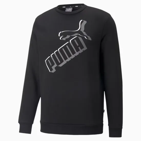 Кофта Puma Essentials+ Big Logo 84986301