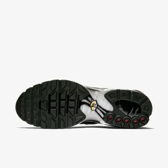 Кросівки Nike Air Max Plus 852630-031