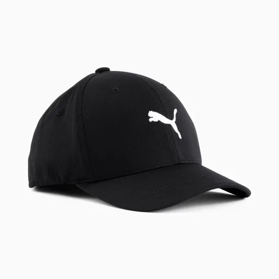 Кепка Puma Hudson Flexfit 859757-01
