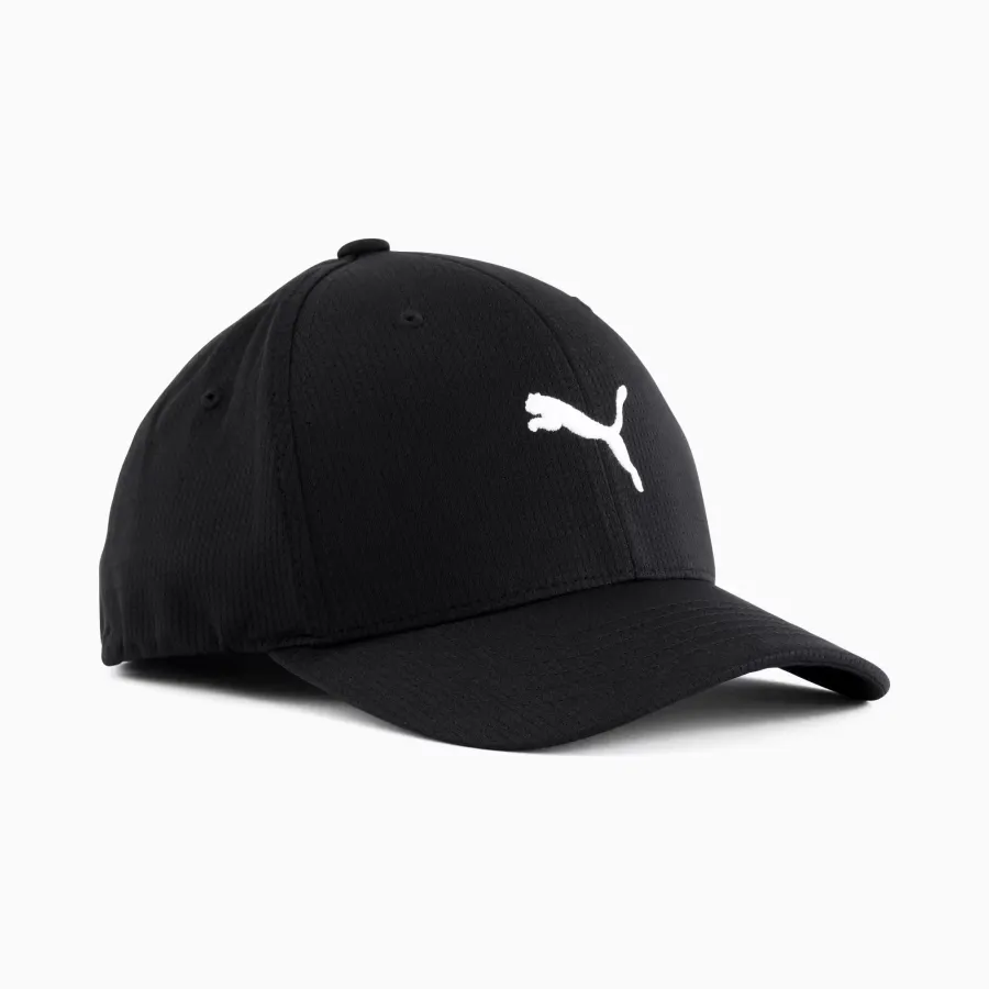 Кепка Puma Hudson Flexfit 859757-01