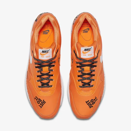 Кросівки Nike Air Max 1 LX 917691-800