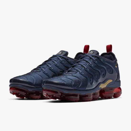 Кросівки Nike Air VaporMax Plus 924453-405
