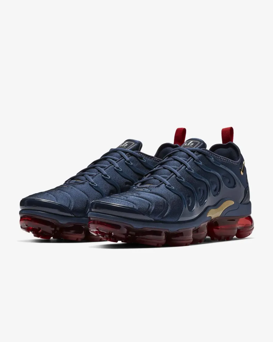 Кросівки Nike Air VaporMax Plus 924453-405