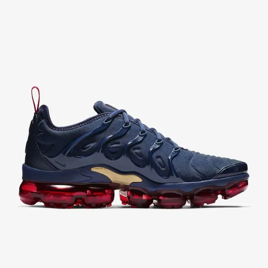 Кросівки Nike Air VaporMax Plus 924453-405