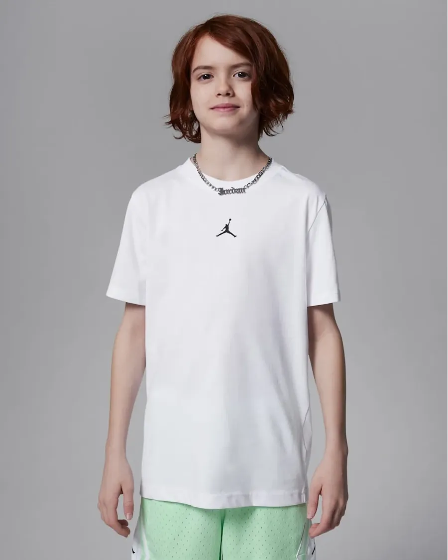 Футболка Nike Air Jordan Sport Dri-FIT Core 95D618-001