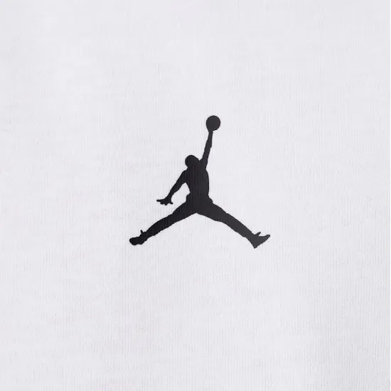 Футболка Nike Air Jordan Sport Dri-FIT Core 95D618-001