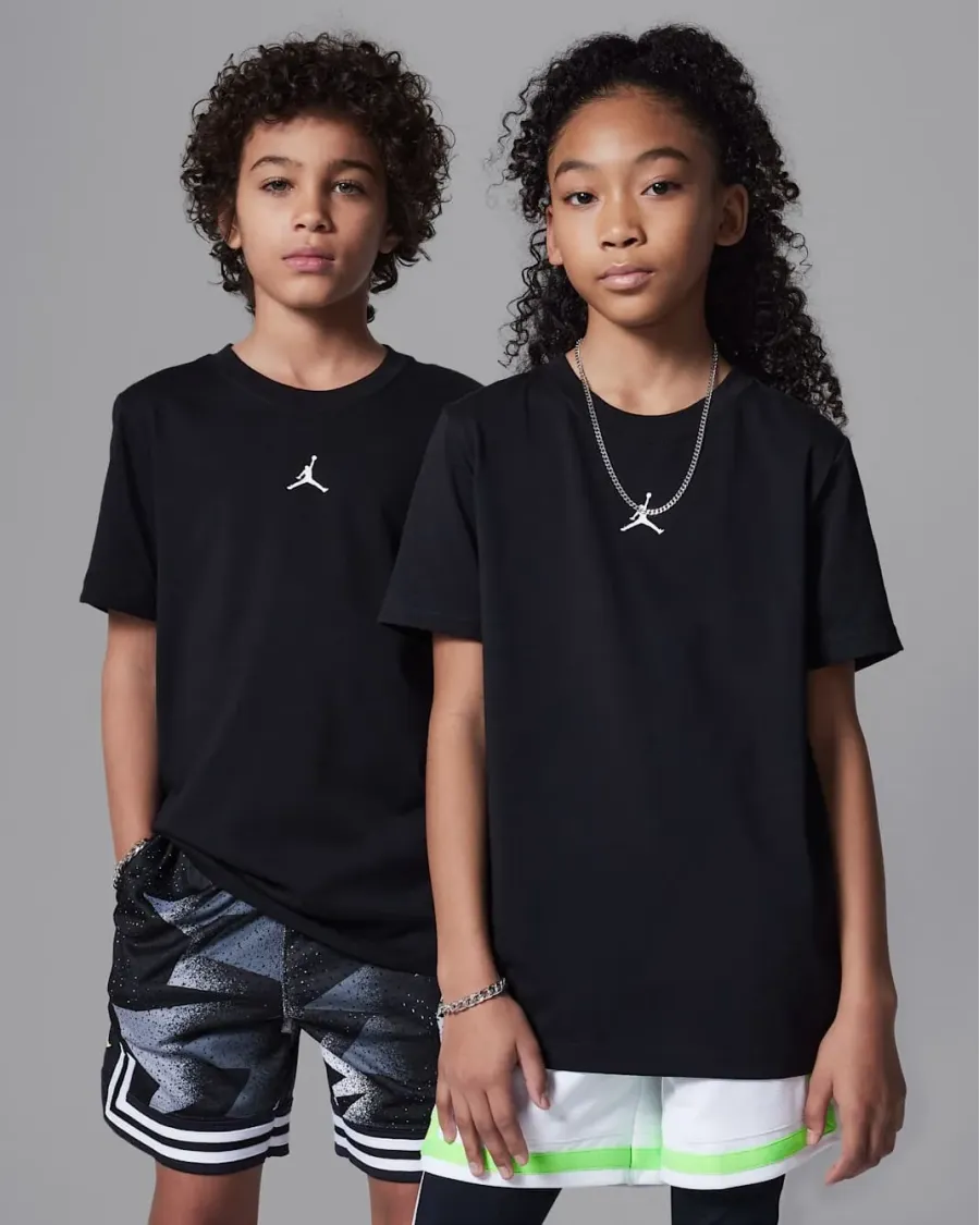 Футболка Nike Air Jordan Sport Dri-FIT Core 95D618-023