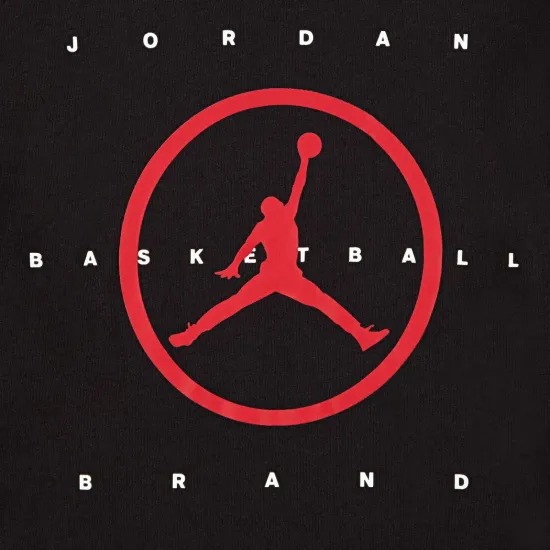 Футболка Nike Air Jordan Mesh 95D631-023