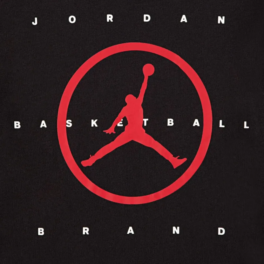 Футболка Nike Air Jordan Mesh 95D631-023