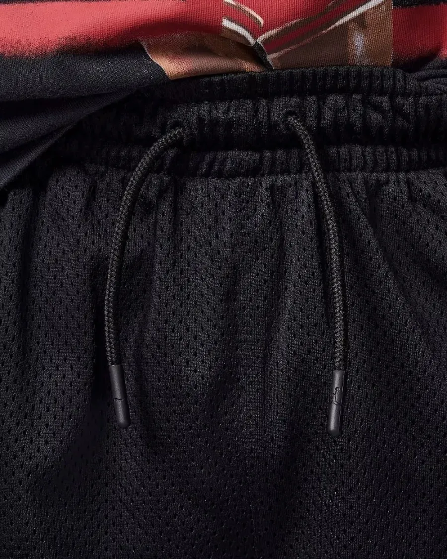 Шорти Nike Air Jordan Dri-FIT Baseline Mesh 95D667-023