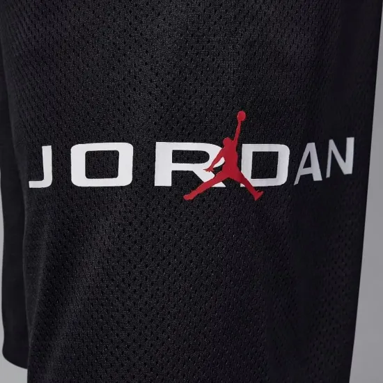 Шорти Nike Air Jordan Dri-FIT Baseline Mesh 95D667-023