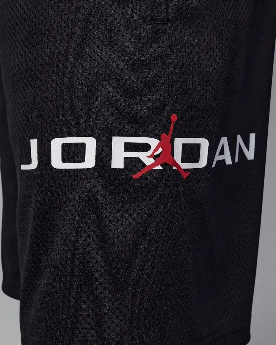 Шорти Nike Air Jordan Dri-FIT Baseline Mesh 95D667-023