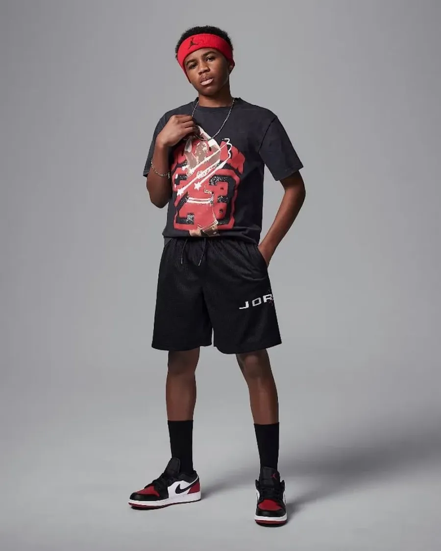 Шорти Nike Air Jordan Dri-FIT Baseline Mesh 95D667-023