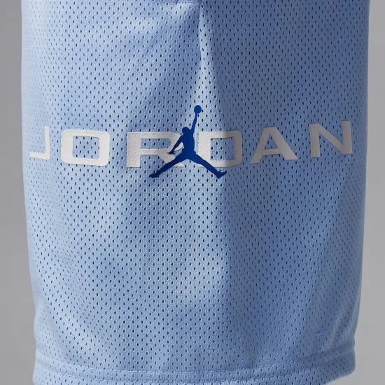 Шорти Nike Air Jordan Dri-FIT Baseline Mesh 95D667-U3C