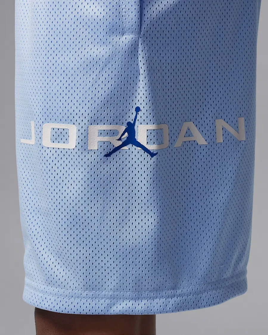 Шорти Nike Air Jordan Dri-FIT Baseline Mesh 95D667-U3C