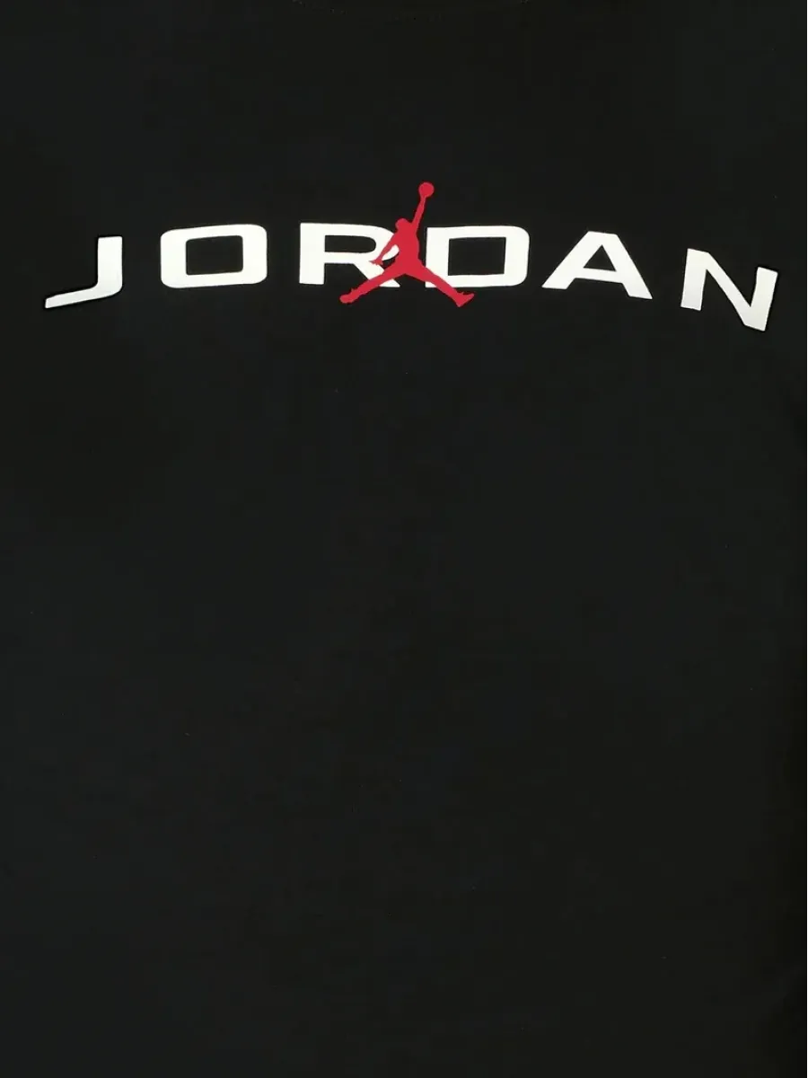 Лонгслів Nike Air Jordan Baseline 95D668-023