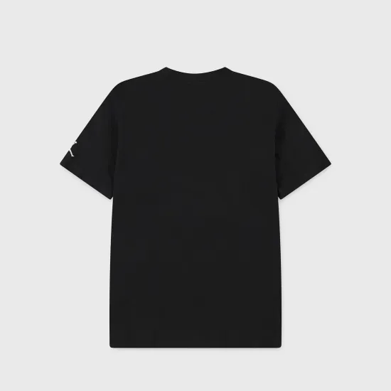 Футболка Nike Air Jordan Essential 3.0 95F057-023
