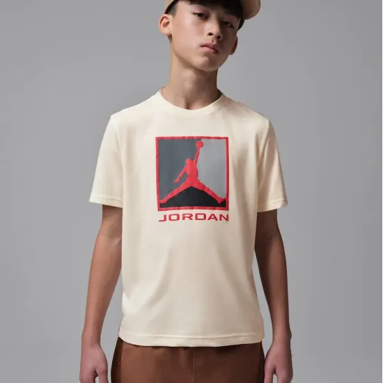 Футболка Nike Air Jordan Essential 3.0 95F057-W5T