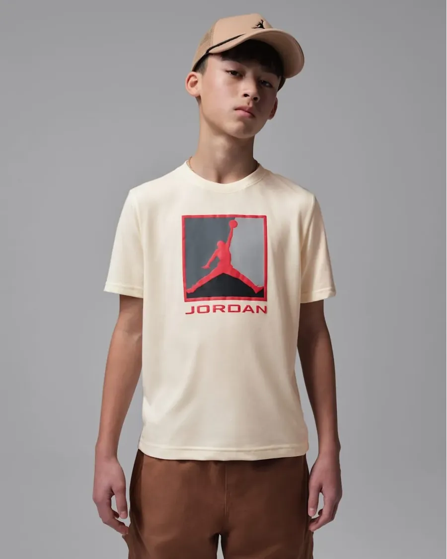 Футболка Nike Air Jordan Essential 3.0 95F057-W5T